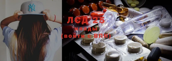apvp Белокуриха
