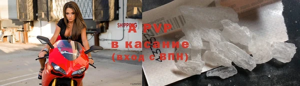 apvp Белокуриха