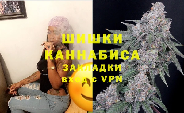 apvp Белокуриха