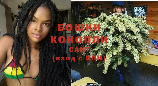 apvp Белокуриха