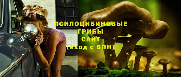 стафф Белоозёрский