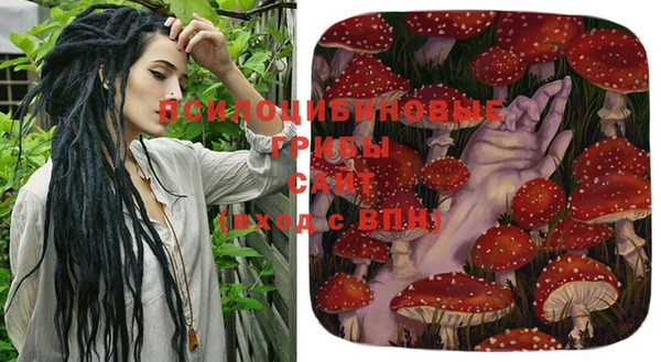 стафф Белоозёрский