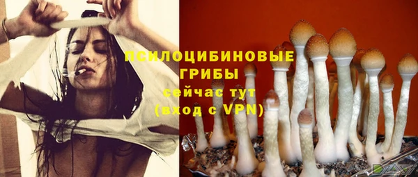 apvp Белокуриха