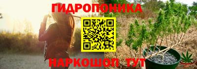 СК Пугачёв