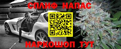 СК Пугачёв